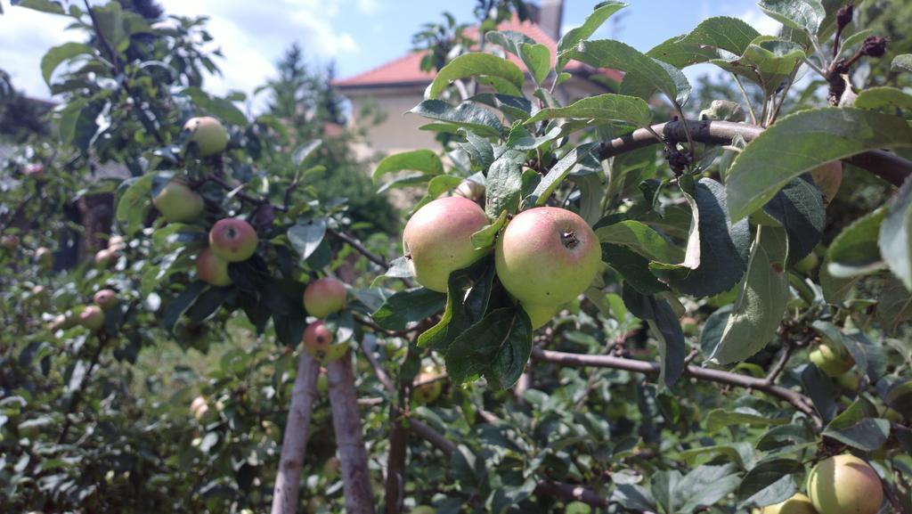 מלון Prague Retro Challenge And Garden מראה חיצוני תמונה